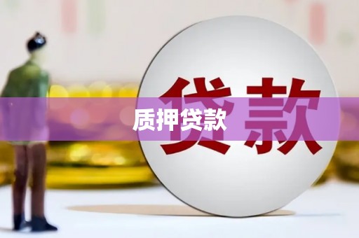 无极质押贷款