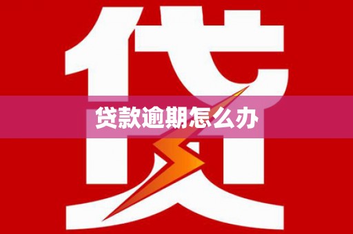 无极贷款逾期怎么办