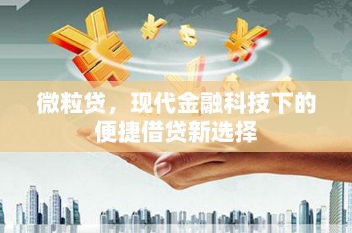 无极微粒贷，现代金融科技下的便捷借贷新选择