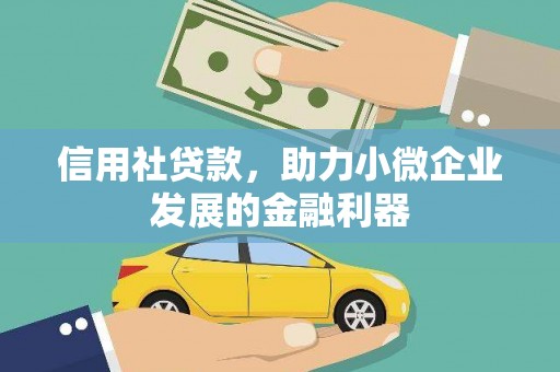 无极信用社贷款，助力小微企业发展的金融利器