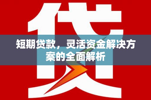 无极短期贷款，灵活资金解决方案的全面解析