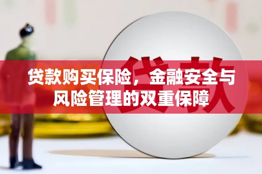 无极贷款购买保险，金融安全与风险管理的双重保障