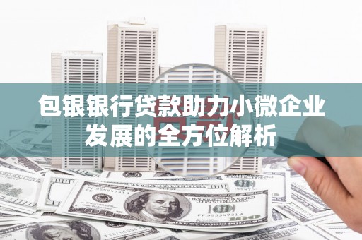 无极包银银行贷款助力小微企业发展的全方位解析