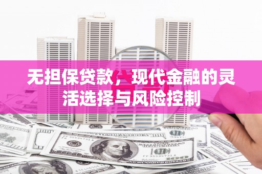 无极无担保贷款，现代金融的灵活选择与风险控制
