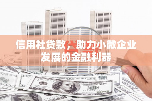 无极信用社贷款，助力小微企业发展的金融利器