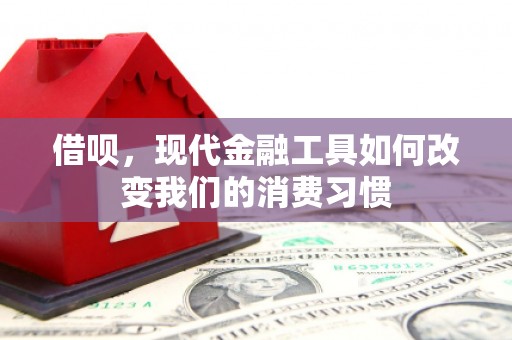 无极借呗，现代金融工具如何改变我们的消费习惯