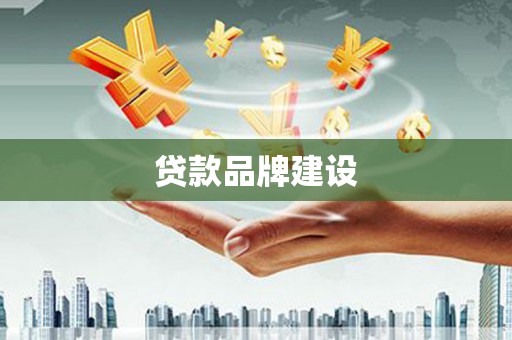 无极贷款品牌建设