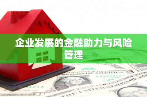 无极企业发展的金融助力与风险管理