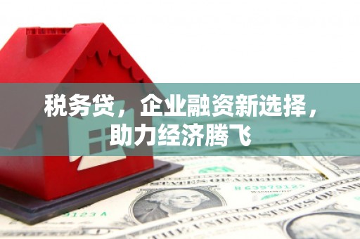 无极税务贷，企业融资新选择，助力经济腾飞