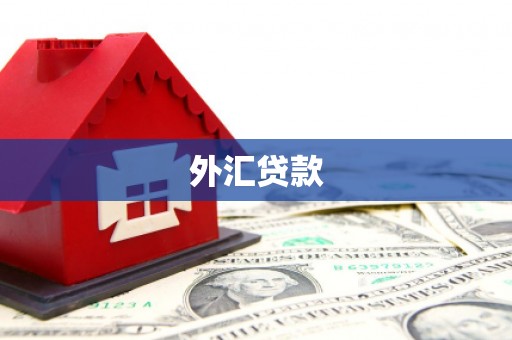 无极外汇贷款