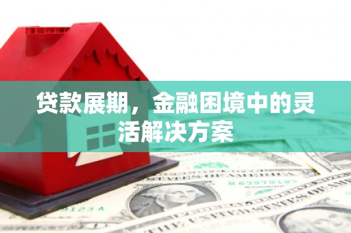 无极贷款展期，金融困境中的灵活解决方案