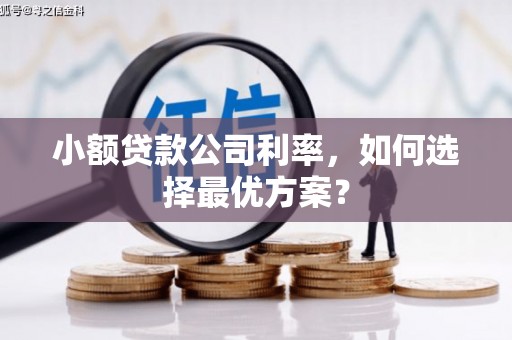 无极小额贷款公司利率，如何选择最优方案？