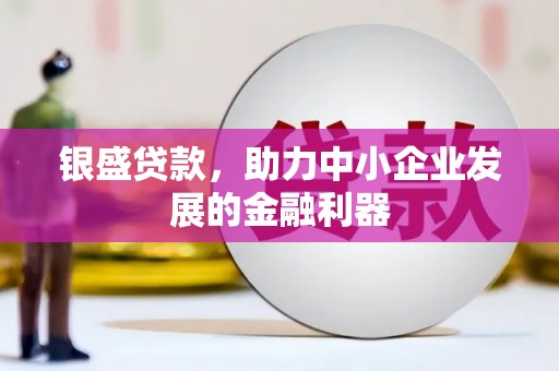 无极银盛贷款，助力中小企业发展的金融利器