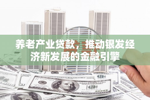无极养老产业贷款，推动银发经济新发展的金融引擎