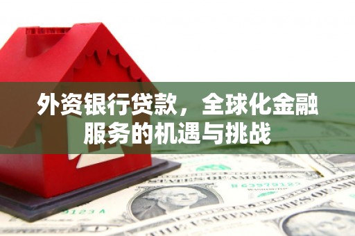无极外资银行贷款，全球化金融服务的机遇与挑战