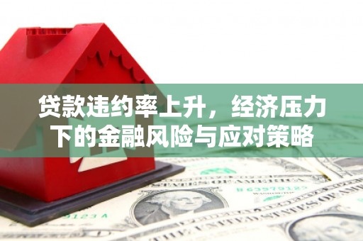 无极贷款违约率上升，经济压力下的金融风险与应对策略