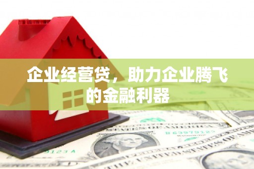 无极企业经营贷，助力企业腾飞的金融利器