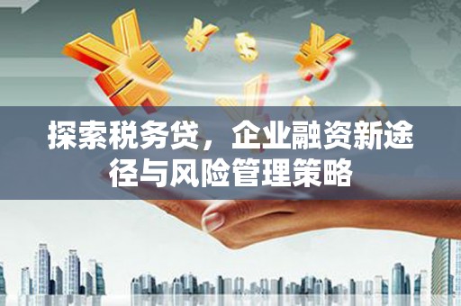 无极探索税务贷，企业融资新途径与风险管理策略