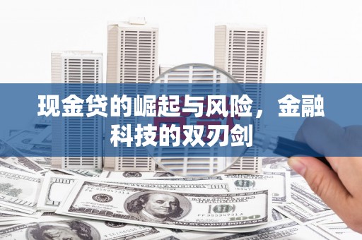 无极现金贷的崛起与风险，金融科技的双刃剑
