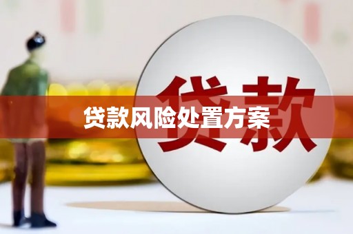 无极贷款风险处置方案