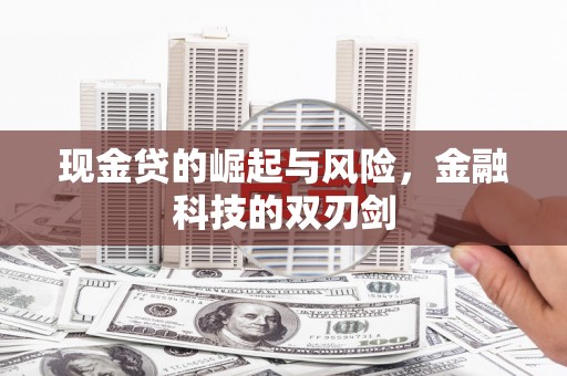 无极现金贷的崛起与风险，金融科技的双刃剑