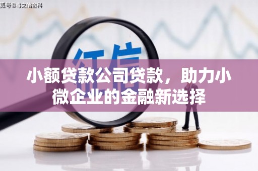 无极小额贷款公司贷款，助力小微企业的金融新选择