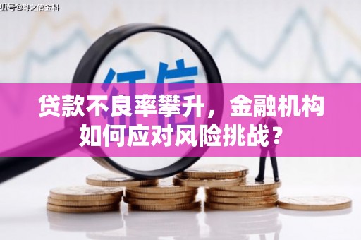 无极贷款不良率攀升，金融机构如何应对风险挑战？