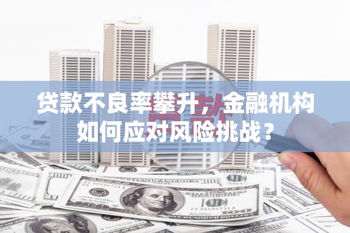 无极贷款不良率攀升，金融机构如何应对风险挑战？