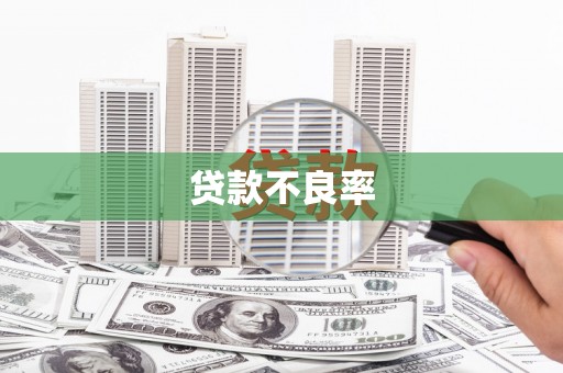 无极贷款不良率