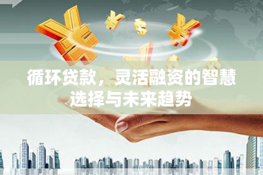 无极循环贷款，灵活融资的智慧选择与未来趋势