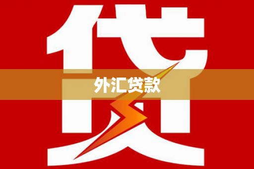 无极外汇贷款