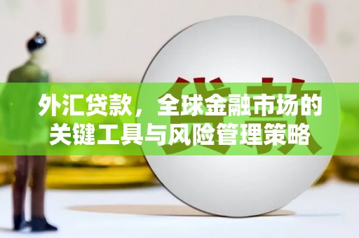 无极外汇贷款，全球金融市场的关键工具与风险管理策略