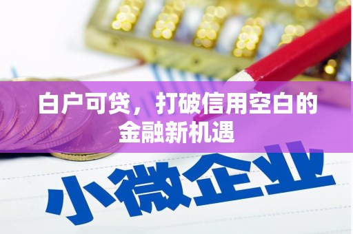 无极白户可贷，打破信用空白的金融新机遇