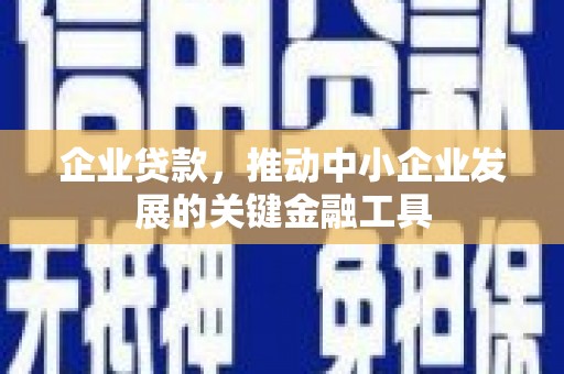 无极企业贷款，推动中小企业发展的关键金融工具