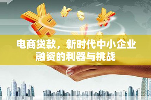 无极电商贷款，新时代中小企业融资的利器与挑战