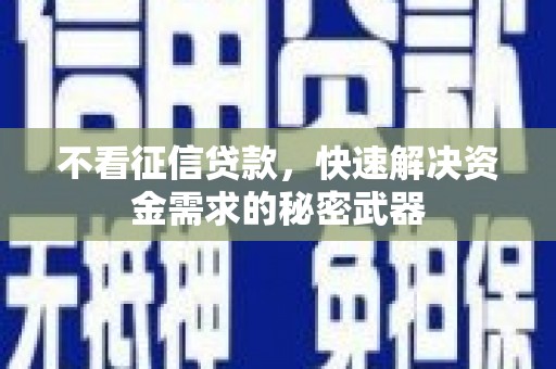 无极不看征信贷款，快速解决资金需求的秘密武器