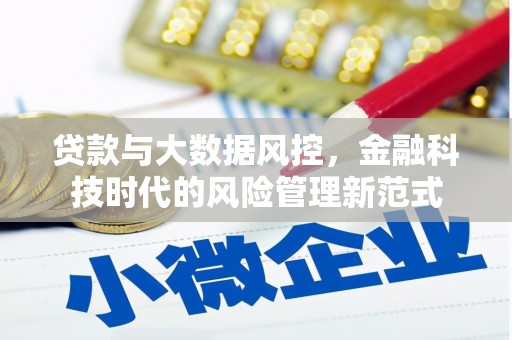 无极贷款与大数据风控，金融科技时代的风险管理新范式