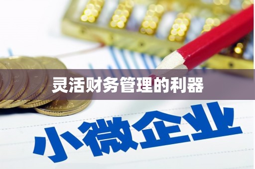 无极灵活财务管理的利器
