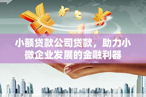 无极小额贷款公司贷款，助力小微企业发展的金融利器