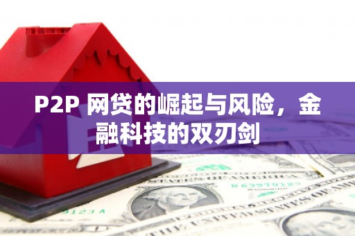 无极P2P 网贷的崛起与风险，金融科技的双刃剑