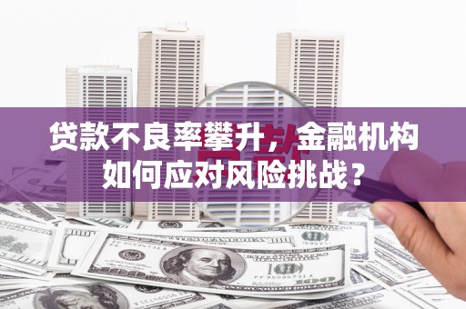 无极贷款不良率攀升，金融机构如何应对风险挑战？
