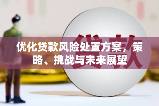 无极优化贷款风险处置方案，策略、挑战与未来展望