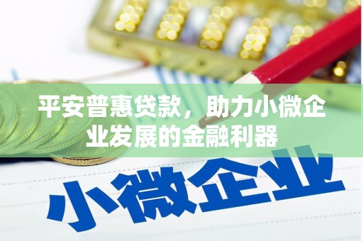 无极平安普惠贷款，助力小微企业发展的金融利器