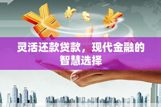 无极灵活还款贷款，现代金融的智慧选择