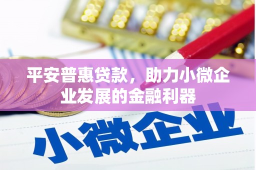 无极平安普惠贷款，助力小微企业发展的金融利器