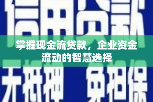 无极掌握现金流贷款，企业资金流动的智慧选择
