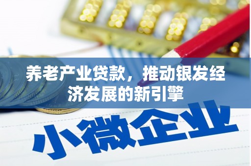 无极养老产业贷款，推动银发经济发展的新引擎