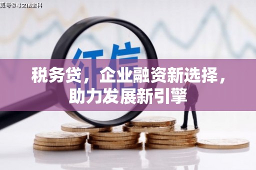 无极税务贷，企业融资新选择，助力发展新引擎