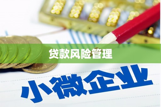 无极贷款风险管理