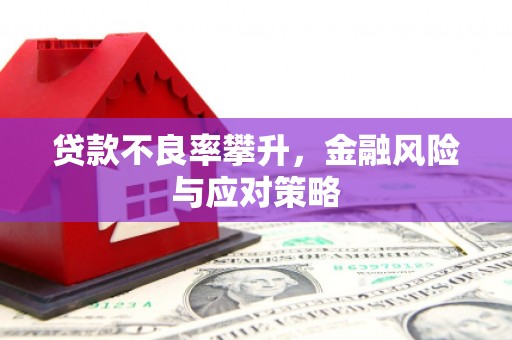 无极贷款不良率攀升，金融风险与应对策略